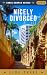 Nicely Divorced (Snake Camper Novels Book 17)