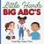 Little Hands, Big ABC's: A ...