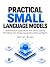 Practical Small Language Mo...