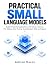 Practical Small Language Mo...