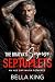 The Bratva’s Surprise Septuplets by Bella King The Bratva’s Surprise Septuplets by Bella King