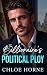 The Billionaire's Political...