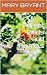 Forest Birds and Animels