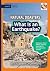 What Is an Earthquake?