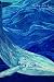 Moby Dick: or The Whale