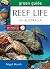 Green Guide: Reef life of A...