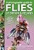 A Photographic Guide to Fli...