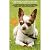 A Beginner's Guide to Raising and Loving Your Chihuahua by Max Roche