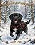 Chamber’s First Snow