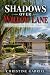 Shadows over Willow Lane
