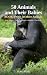 50 Animals and their Babies...