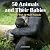 50 Animals and their Babies...