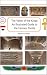 The Valley of the Kings: An...