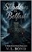 Shadows in Belfast: A Dark ...