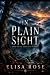 In Plain Sight