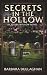 Secrets in the Hollow: A Sl...