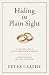 Hiding in Plain Sight by Peter Csathy