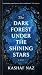 The Dark Forest Under The S...