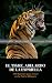 PRUEBA: El Tigre, Abelardo ...