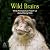 Wild Brains: What Animals C...