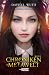 Sobels Rache: Ein LitRPG-Ab...