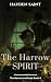 The Harrow Spirit: A Paranormal MM Romance (The Harrow Institute Book 6)