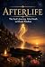 Afterlife: The Soul's Journ...