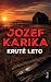 Kruté leto by Jozef Karika