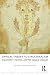 Critical Theory to Structur...