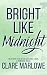 Bright Like Midnight: A Cozy Spicy Shifter Monster Romance (Bear Shifters of Silver Lake Lodge Book 3)
