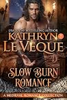 Slow Burn Romance...
