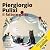 Il fattore gatto