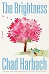 The Brightness: A...
