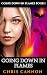 Going Down in Flames (Going Down in Flames, #1)