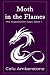 Moth in the Flames (The Acq...
