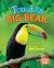 Toucan's Big Beak