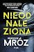 Nieodnaleziona (Damian Werner, #1)