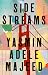Side Streams: A Novel