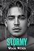 Stormy: Um Romance M/M Emoc...