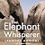 The Elephant Whisperer: Lea...