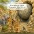 The Rock That Stopped the River by Manish Chopra