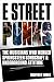 E Street Punks: The Musicia...