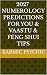2027 Karmic Psychic Numerol...