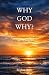 WHY GOD WHY?: A QUESTION EV...