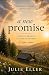A New Promise: A FAMILY BRO...
