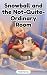 Snowball and the Not-Quite-Ordinary Room by Heidi Torres