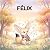FÉLIX: Un cuento infantil s...