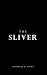 The Sliver by Nicholas Coma