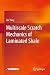 Multiscale Scratch Mechanic...