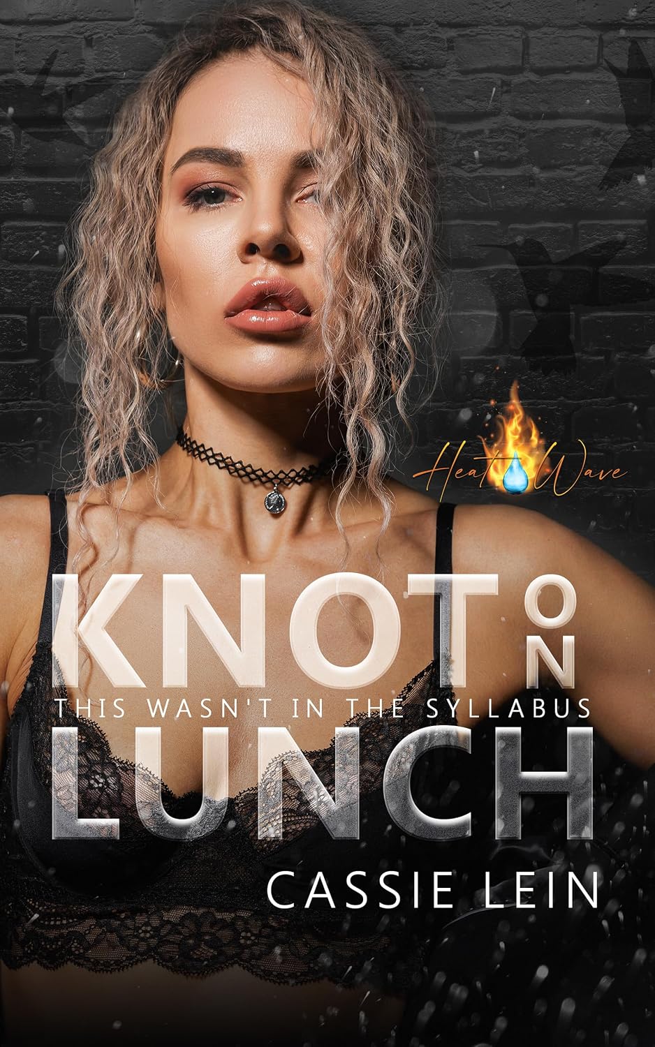 Read Knot on Lunch (Heat Wave)